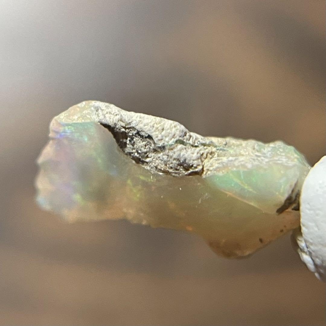 今だけお買い得！素朴で可愛いオパール原石73.5ct/鉱物標本 Amazon | Tokyo Science 天然鉱物標本「エチオピア・オパール